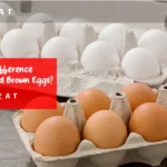 What’s the Difference Between White and Brown Eggs?