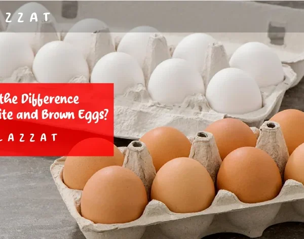 What’s the Difference Between White and Brown Eggs?