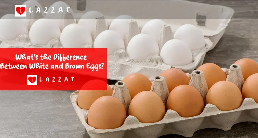 What’s the Difference Between White and Brown Eggs?